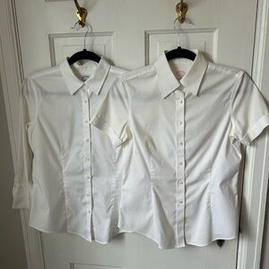 Brooks Brothers White Button Down Shirts